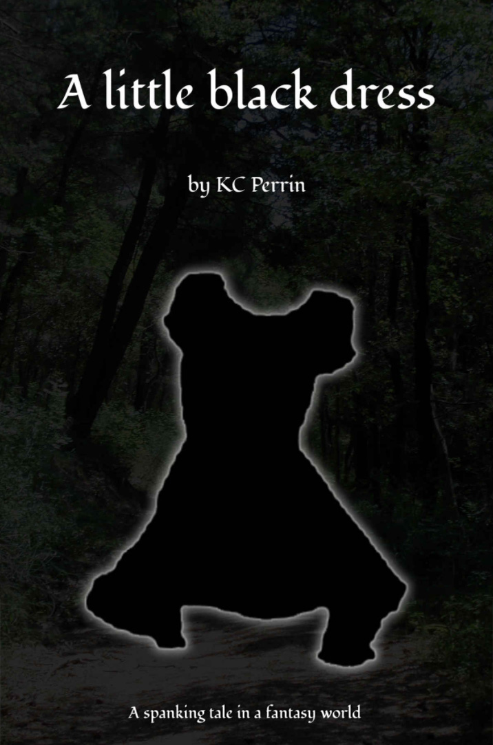 book cover for A little black dress